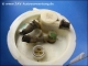 Sending unit Audi 443-919-049-L VD0 221-824-027-10 100 200